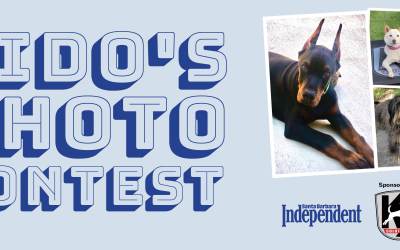 Fido’s Photo Contest 2022
