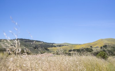 Natural Highs on the Jack and Laura Dangermond Preserve