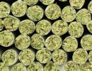 Raw Garden Infused Pre-Rolls