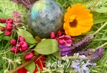 Nature and Wellness Walk at Douglas Perserve