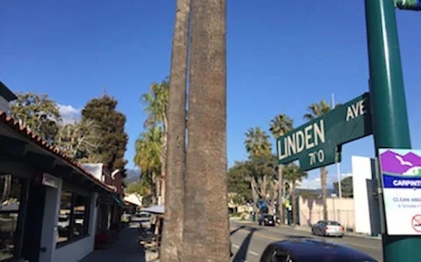 Carpinteria Limits Big Business
