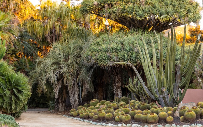 The Lowdown on Lotusland