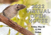 SB Wildlife Care Network’s Virtual Open House