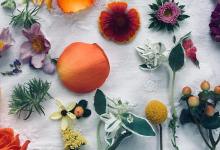 Song Circle & Vocal Healing