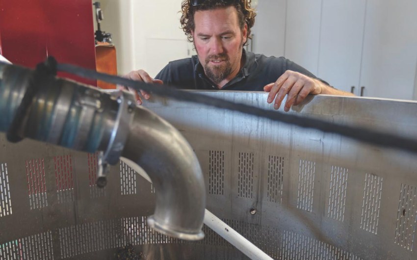 Cellar Success for Blair Fox
