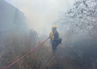 Santa Barbara County Fire Crews Snuff Blaze Near Aero Camino