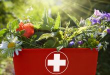 Herbal First Aid Online Workshop