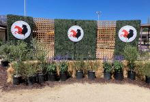 The Santa Barbara National Horse Show