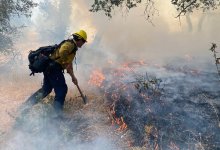 Brush Fire Caused by Catalytic Converter Burns 2-3 Acres in Buellton