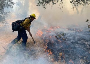 Brush Fire Caused by Catalytic Converter Burns 2-3 Acres in Buellton