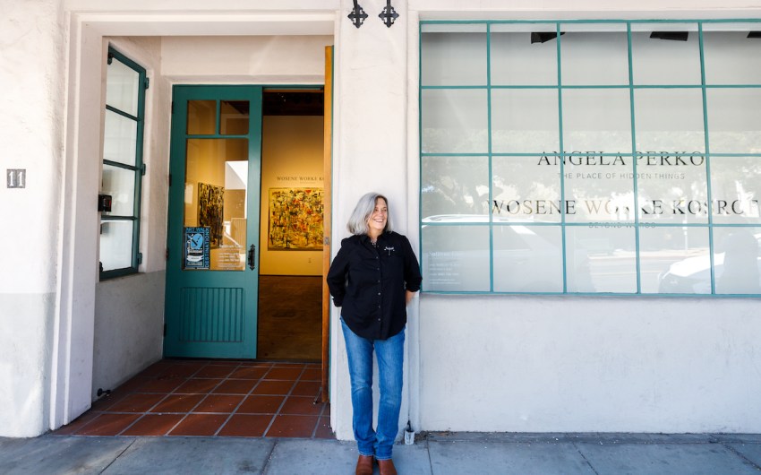 The Fertile Images of Angela Perko — Now on View in Downtown Santa Barbara’s Sullivan Goss Gallery