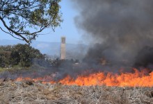 Prescribed Burn at UCSB Lagoon Scheduled for Mid-September