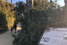 Santa Barbara Creek Week Begins with Coastal Clean Up Day on Saturday