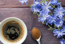 Herbs for the Body (Fall 2022)