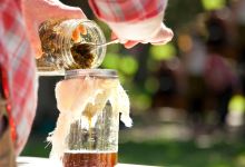 Medicine Making for Beginners (Fall 2022)
