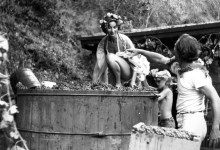 Historical Museum Explores Santa Barbara’s Bohemian Rhapsody