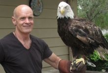 ‘The Bald Eagle’: Spirit Bird, Livestock Thief, National Symbol