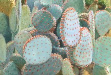 “A Personal Point of View” at Gallery Los Olivos