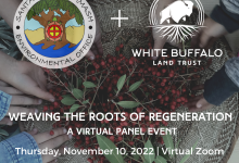Weaving the Roots of Regeneration Virtual Panel