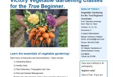 Virtual Workshop: Victory Vegetable Gardening for the True Beginner