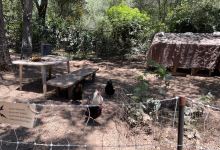 Bear-Proofing
