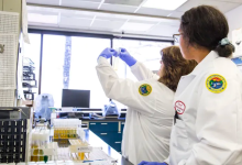 Santa Barbara Continues Coronavirus Sewage Surveillance