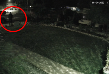 Campaign Lawn Sign Theft Reported