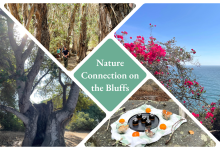Nature Connection Walk on the Bluffs