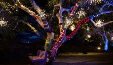 San Luis Obispo Botanical Garden Announces Santa Is Bringing a Dog Parade to the Garden