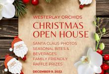 Westerly Orchids Christmas Open House