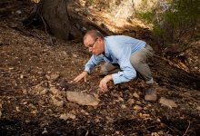 Roy Dunn: Capturing Imagery of Our Wild Neighbors