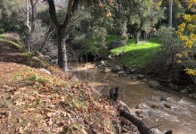 Santa Barbara Creeks Running Again