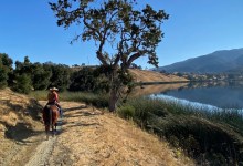 Equestrians Win Big in Santa Barbara Court Fight over Trail Access by Hikers and Bikers