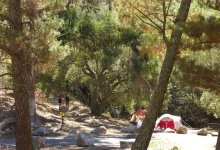 Los Padres Campsite Fees Go Up