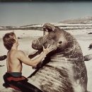 Gary Thomas Gutshall