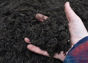 Biochar: Its Pluses and Minuses