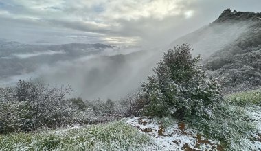 Snow Falls on Santa Barbara County