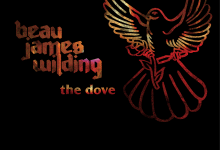 Beau James Wilding 2nd Single Release Show