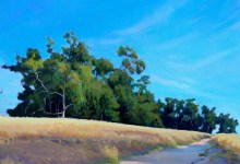 Celebrating the Protection of Nature
