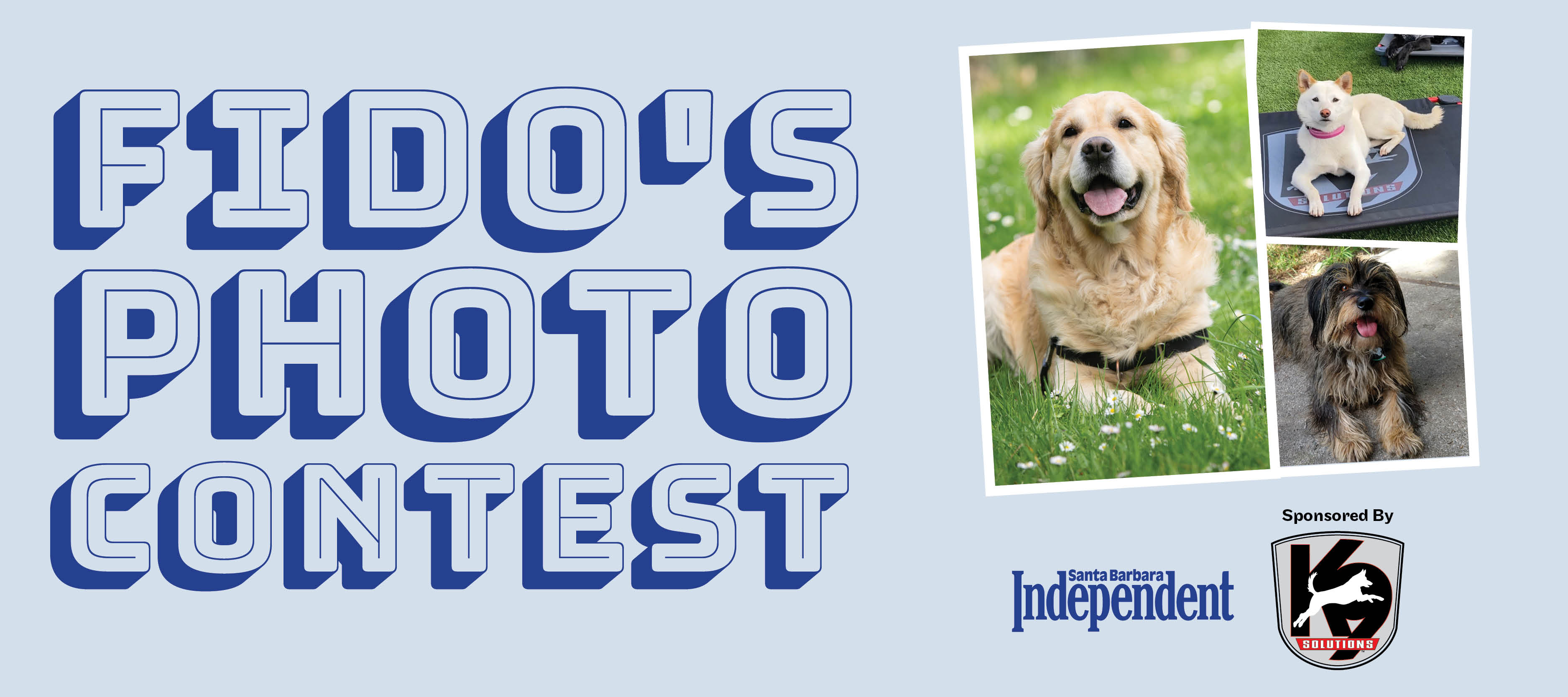 Fido's Photo Contest