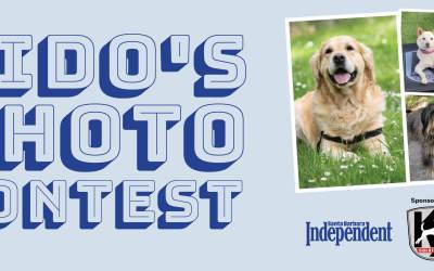 Fido’s Photo Contest