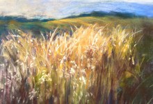 Luminous Landscapes