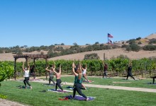 Yoga in the Vineyard