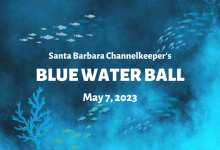 Channelkeeper’s Blue Water Ball