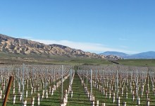 Santa Barbara County Planners Deflect a Cuyama Valley ‘Water Grab’ by Harvard University