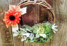 Succulents Workshop