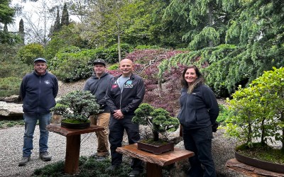 Small Trees, Big Rewards: Bonsai at Lotusland