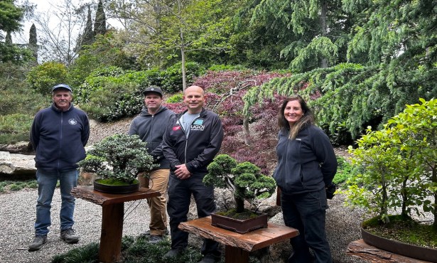 Small Trees, Big Rewards: Bonsai at Lotusland