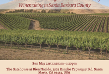 Behind the Scenes: Next Generation of Winemaking