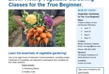 Vegetable Gardening Classes for the True Beginner